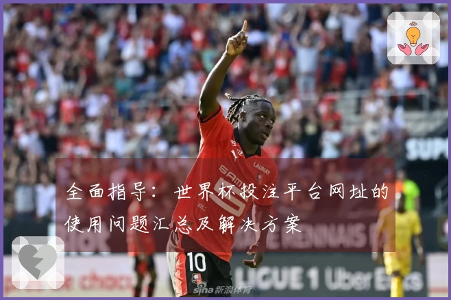 全面指导：世界杯投注平台网址的使用问题汇总及解决方案