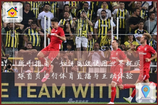 新手指南:如何高效使用世界杯买球首页进行体育直播与互动体验