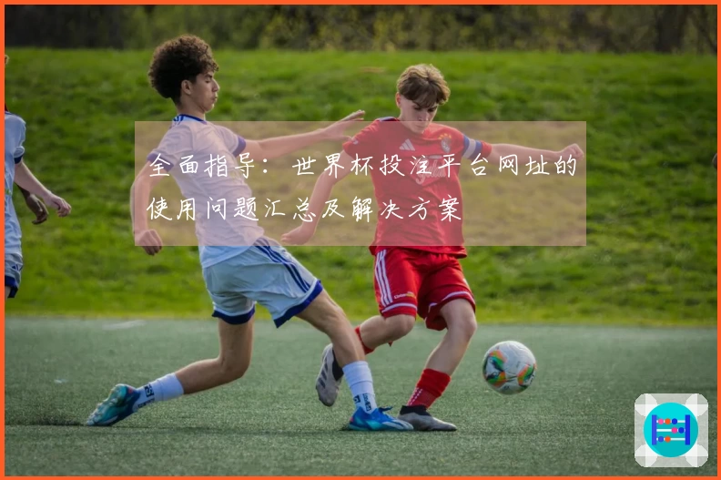 全面指导:世界杯投注平台网址的使用问题汇总及解决方案