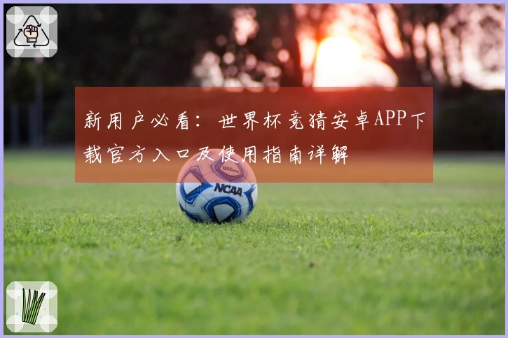 新用户必看:世界杯竞猜安卓APP下载官方入口及使用指南详解