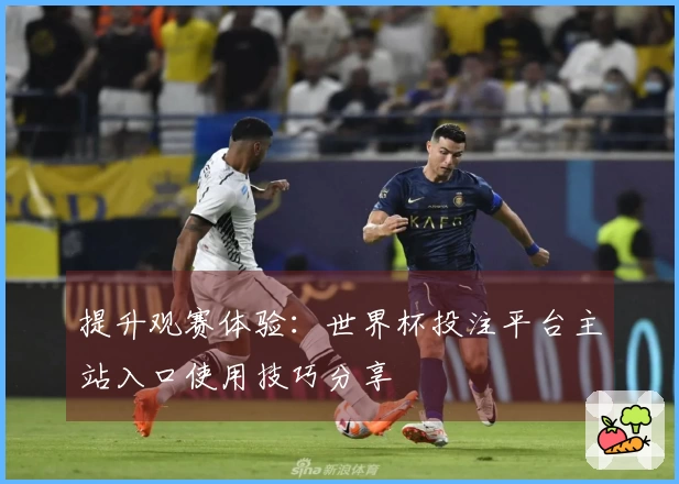 提升观赛体验：世界杯投注平台主站入口使用技巧分享