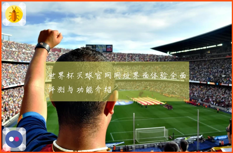 世界杯买球官网网址界面体验全面评测与功能介绍